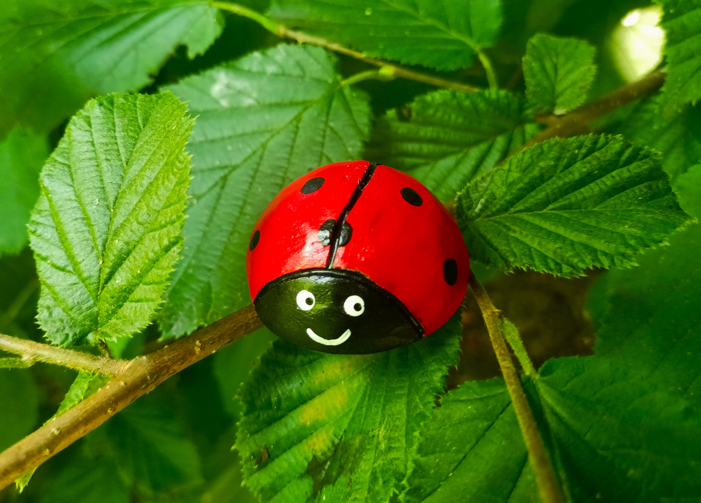 Glückskäfer aus Zirbenholz "hand-geschnitzt"